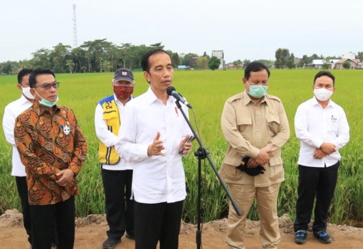 Presiden Jokowi saat buka kawasan Food Estate di Kalteng (Dok. kalteng.go.id)