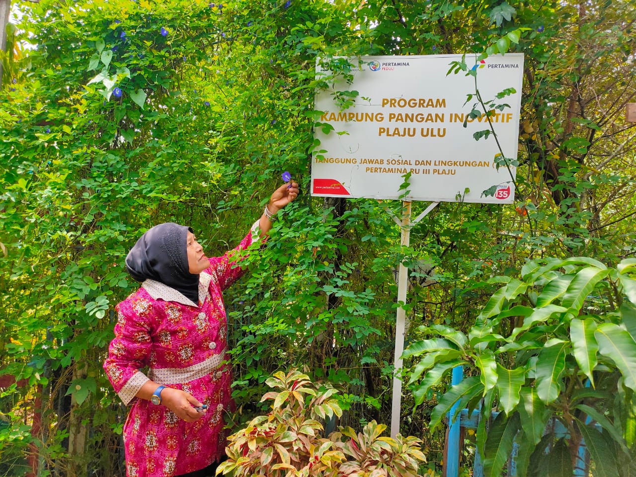 Jamiah, salah satu mitra binaan Program Kampung Pangan Inovatif Pertamina RU III Plaju Palembang (Indodaily.co / Nefri Inge))