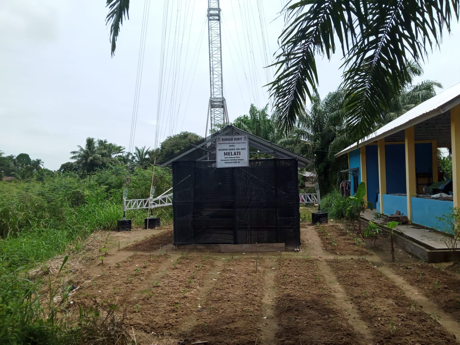 Pembangunan Rumah Bibit P2L KWT "Melati" Desa Sukaraja Baru Kec. Indralaya Selatan Kab Ogan Ilir