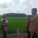 Subdit 1 Indagsi Ditreskrimsus Polda Sumsel monitoring penyaluran pupuk bersubsidi, Jumat (09/12/2022)