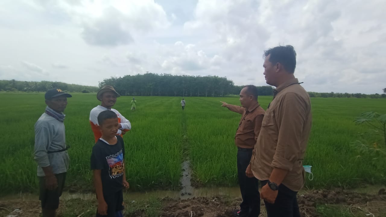 Subdit 1 Indagsi Ditreskrimsus Polda Sumsel monitoring penyaluran pupuk bersubsidi, Jumat (09/12/2022)