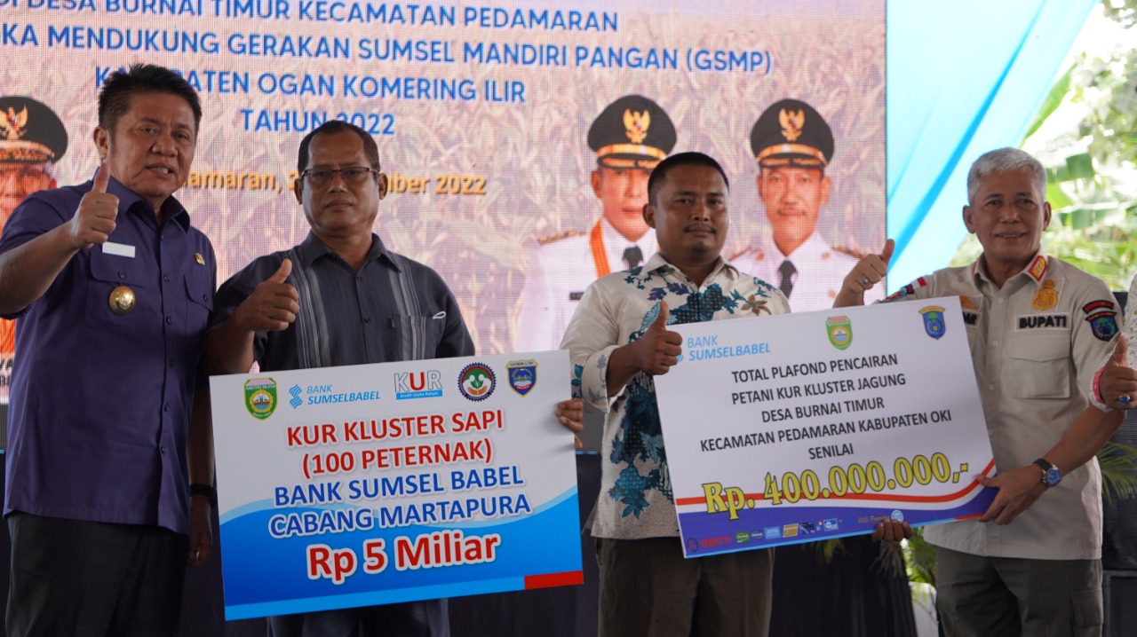 Herman Deru bersama Bupati OKI, H Iskandar SE dan Dirut Bank Sumsel Babel melakukan penanaman jagung di Kawasan Pilot Project Corporate Farming Plus (Korporasi Petani) di Desa Burnai Timur Kecamatan Pedamaran OKI, Kamis, (22/12)