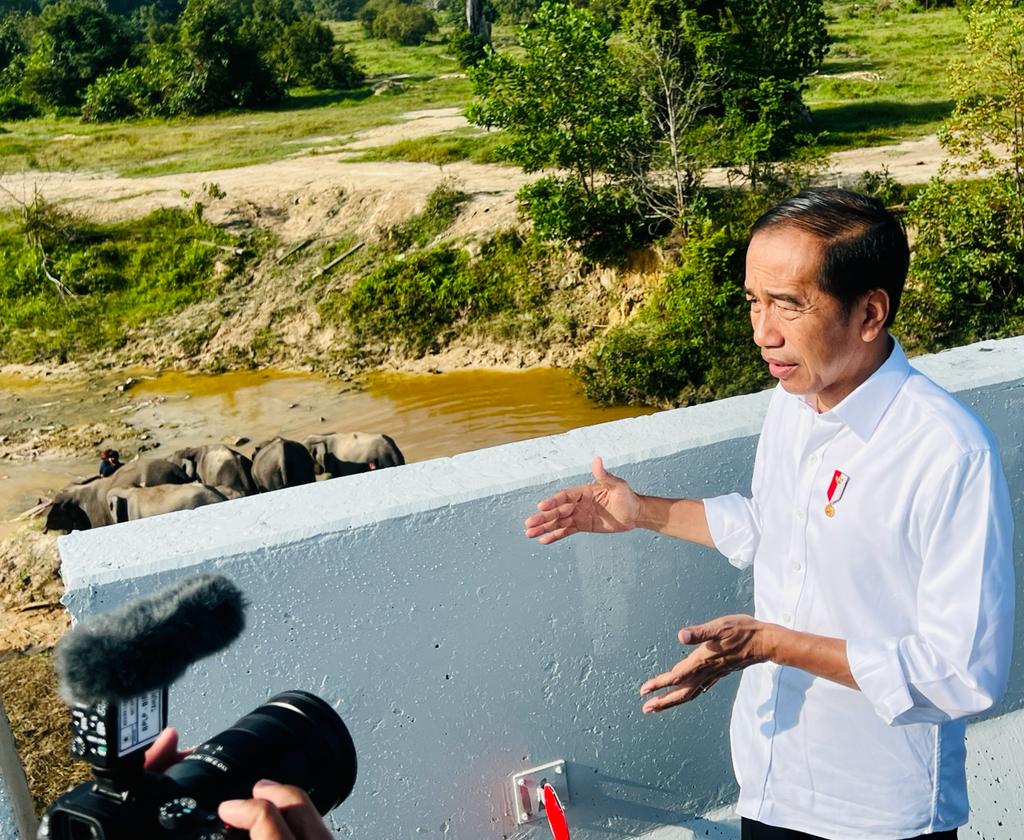 Presiden Joko Widodo setelah melihat perlintasan gajah di KM 12 ruas tol Pekanbaru-Dumai, pada Kamis, 5 Januari 2023. Foto: BPMI Setpres.