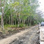 Kondisi Jalan Inpres Desa Sungai Medak, Kecamatan Sekayu menuju Desa Talang Piase, Kecamatan Lawang Wetan