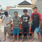 Unit Reskrim Polsek Bayung Lencir Polres Musi Banyuasin meringkus lima orang pelaku pencurian ternak sapi