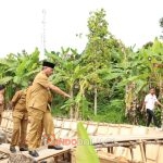 Pj Bupati Musi Banyuasin, Apriyadi Mahmud