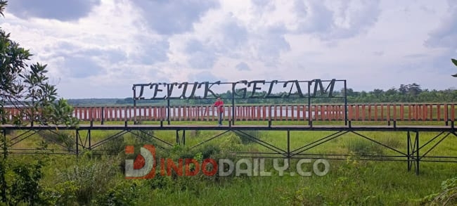 Wisata Teluk Gelam di Kabupaten OKI