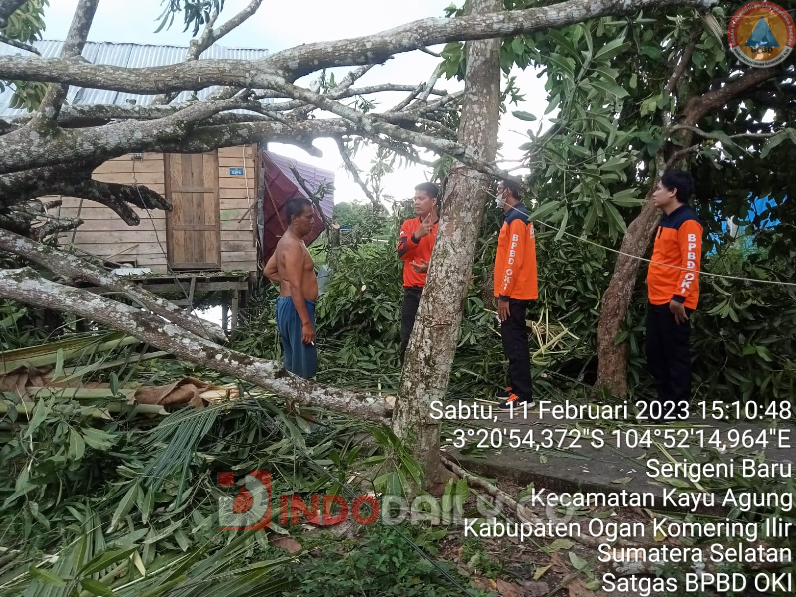 Pohon tumbang akibat hujan deras disertai angin kec=ncang di Kabupaten OKI