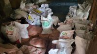 Barang Bukti Ribuan Sak Pupuk Ilegal, Foto: Ist.