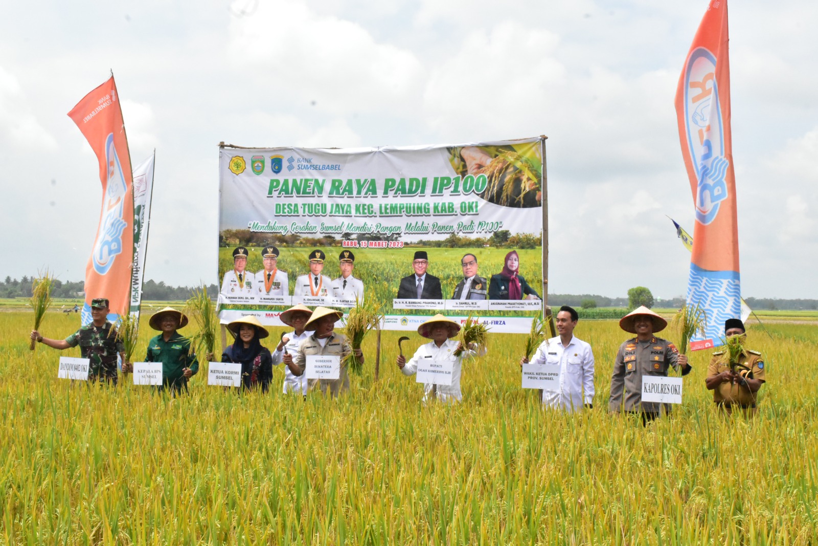 Panen raya padi di Kabupaten OKI