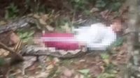 Warga Sukajaya Bayung Lencir Tewas Dililit Ular Sepanjang 6 Meter di Kebun Karet