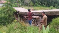 Kondisi jembatan di Desa Mulyo Rejo Kecamatan Sungai Lilin