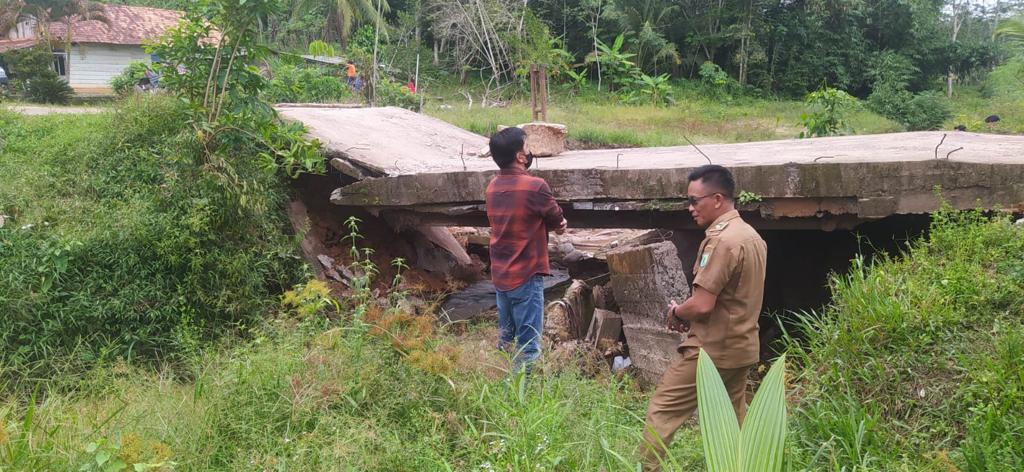 Kondisi jembatan di Desa Mulyo Rejo Kecamatan Sungai Lilin