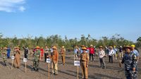 Penanaman juga berlangsung di pesisir Pantai Timur, Desa Sungai Batang, dan Simpang Tiga Kabupaten Ogan Komering Ilir