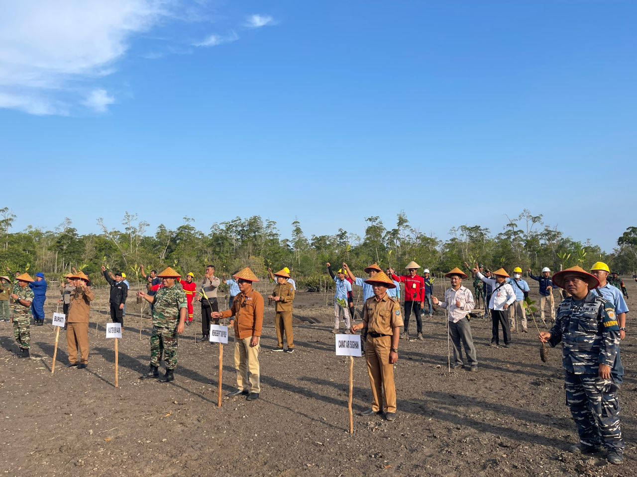 Penanaman juga berlangsung di pesisir Pantai Timur, Desa Sungai Batang, dan Simpang Tiga Kabupaten Ogan Komering Ilir