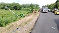 Mobil Muatan Batubara Terguling di Jalan Lintas Sekayu - Babat Toman
