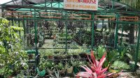 Program Sekolah Energi Berdikari yang dicanangkan Pertamina di SMAN 14 Palembang Sumsel (Dok. Humas Pertamina Palembang)