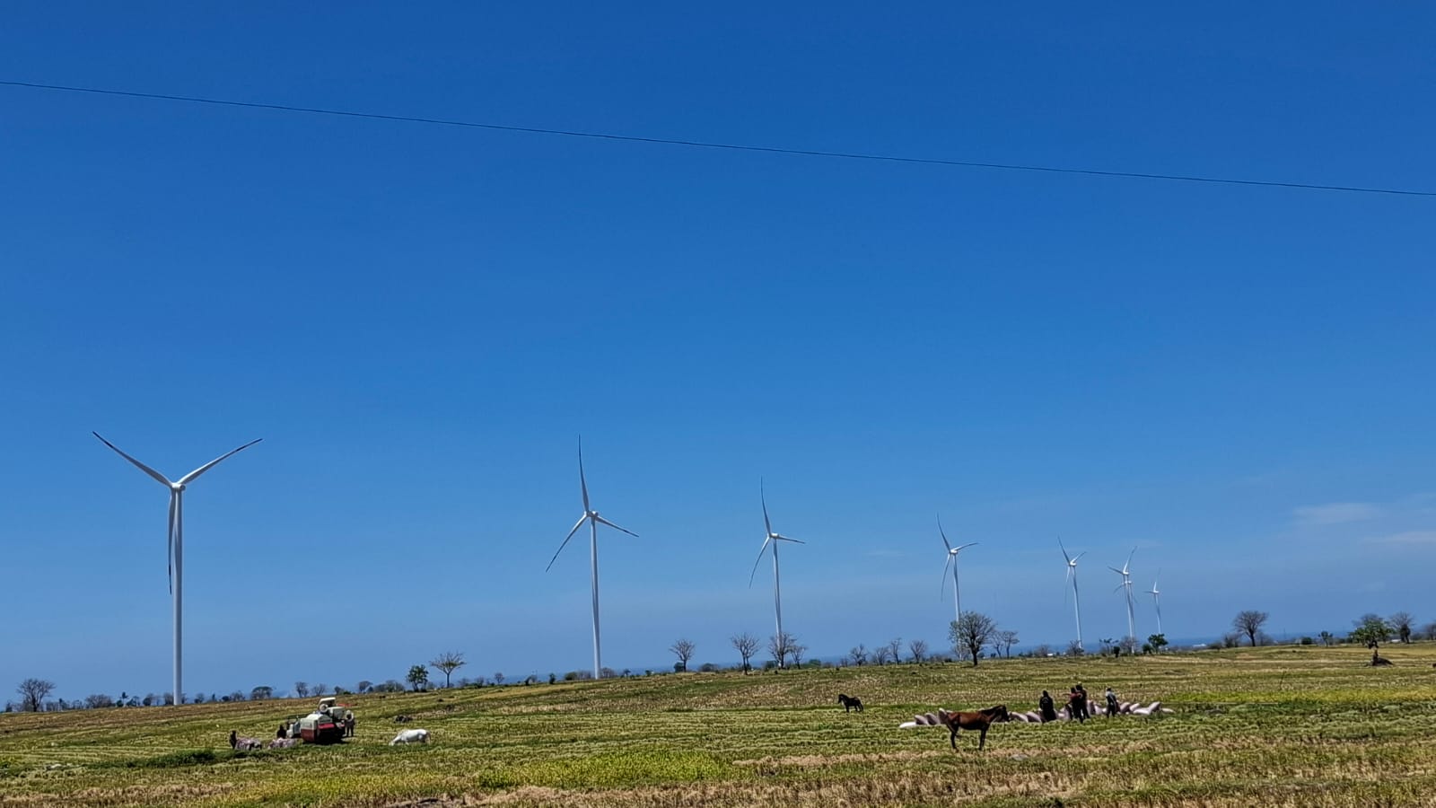 Kincir angin raksasa PLTB Tolo 1 di Kabupaten Jeneponto Sulsel (Nefri Inge / Indodaily.co)