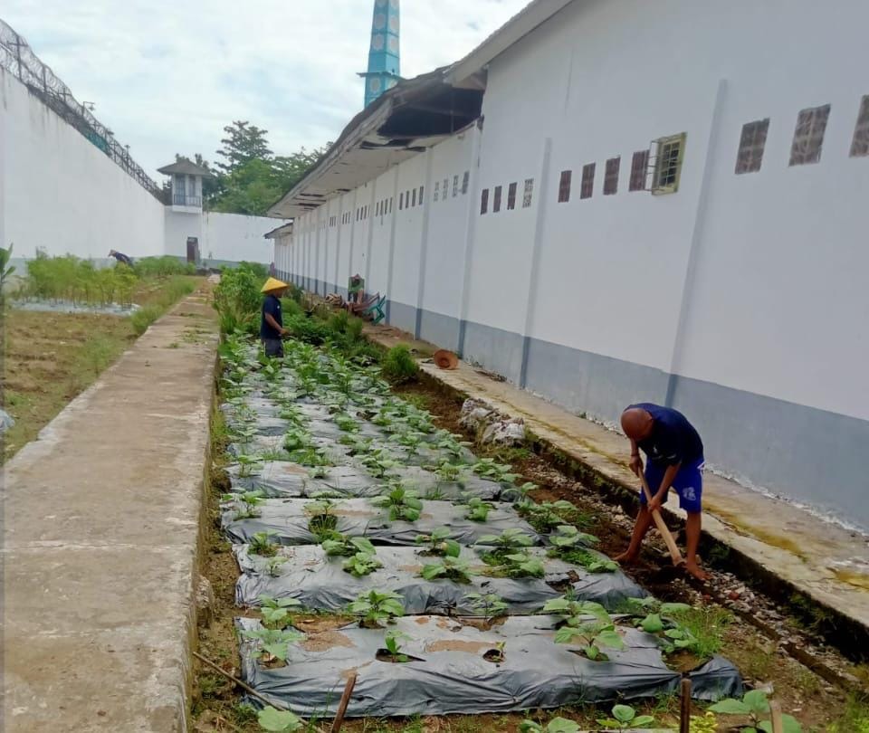 efbb4198-35c7-46b4-8fe0-c72ff5966400