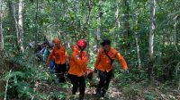 IMG-20260602-WA0002